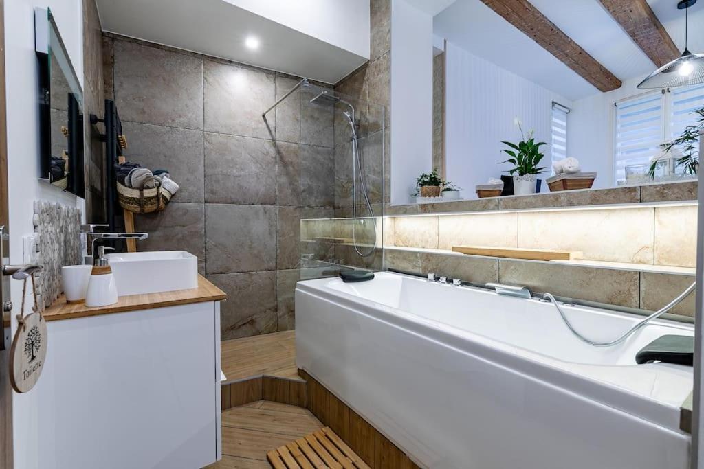 Apartment Jacuzzi/cathedrale *