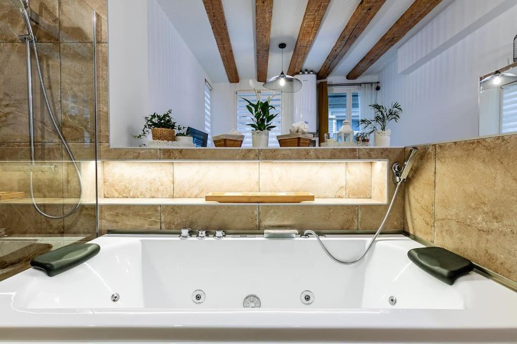 Jacuzzi/cathedrale Apartment *