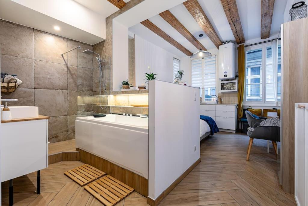 Apartamento Jacuzzi/cathedrale Estrasburgo